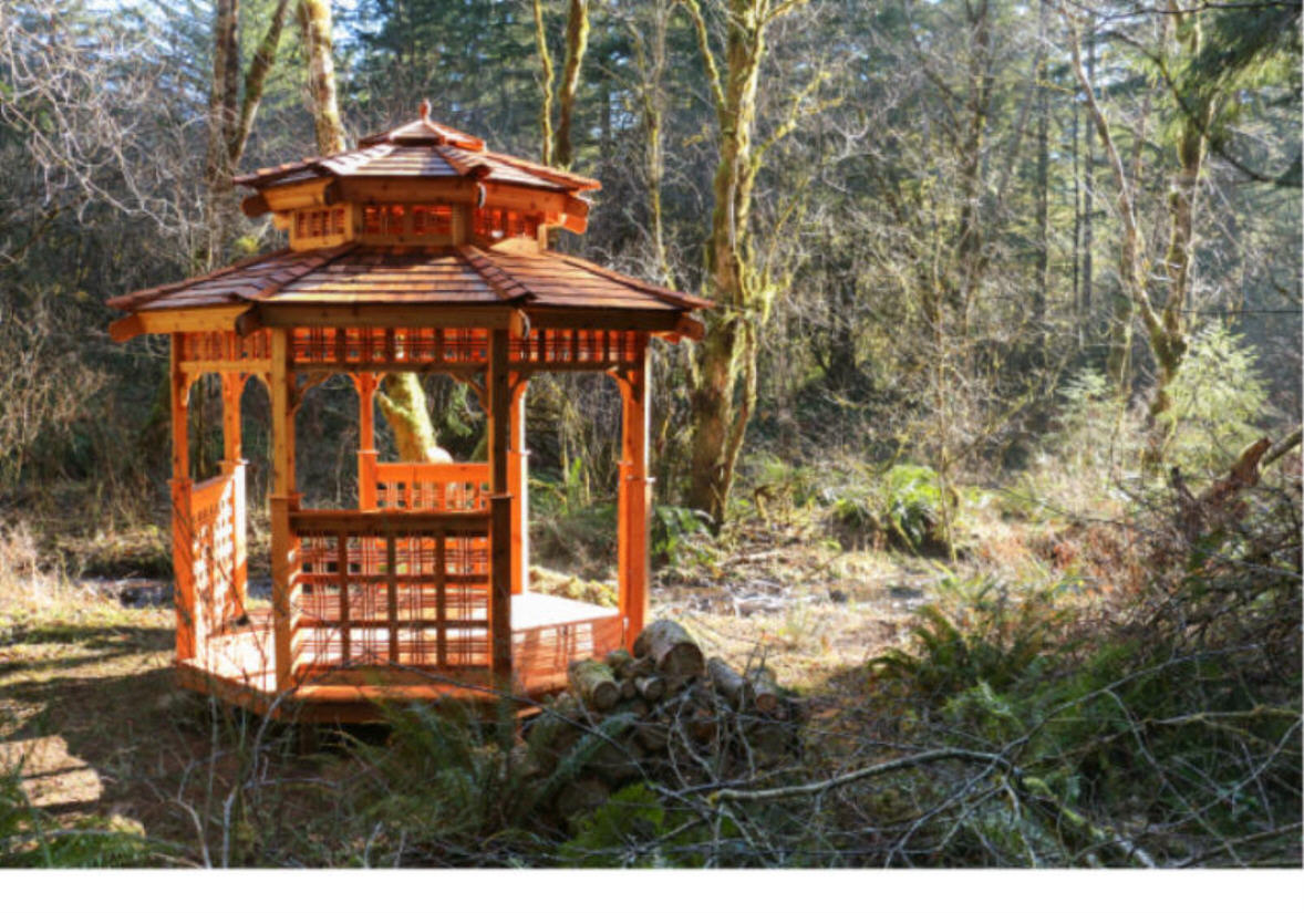 meditation.jpg (699980 bytes)